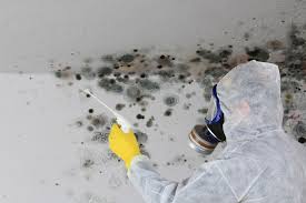 Forensic Mold Investigation in Rushville, IL